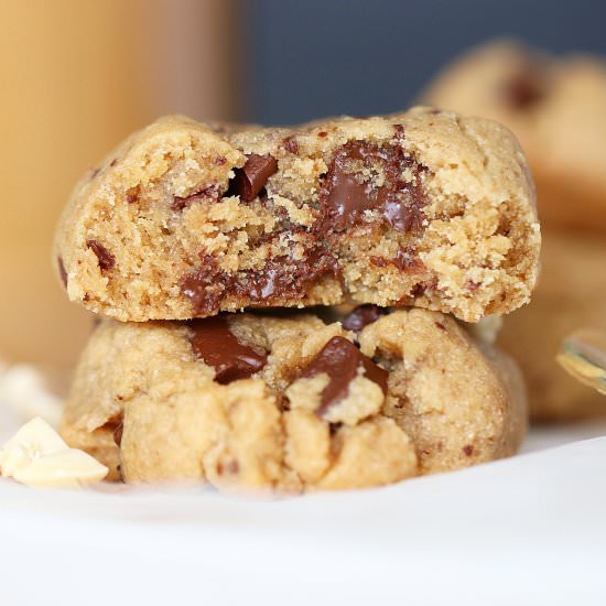 Peanut Butter Chocolate Cookie