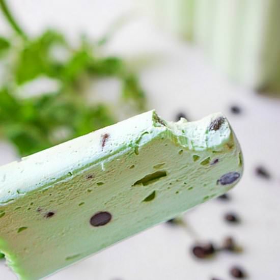 Mint Chocolate Chip Keto Ice Pops