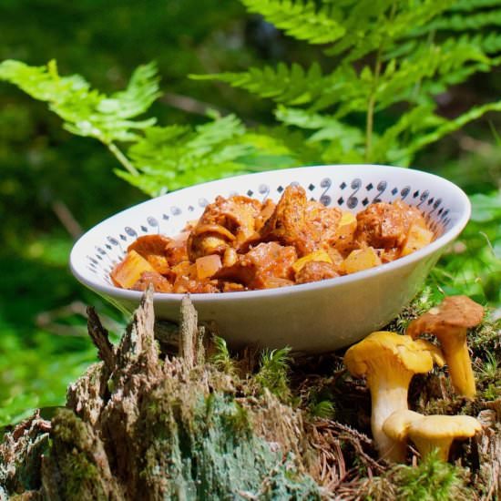 Wild Chanterelle Mushroom Goulash