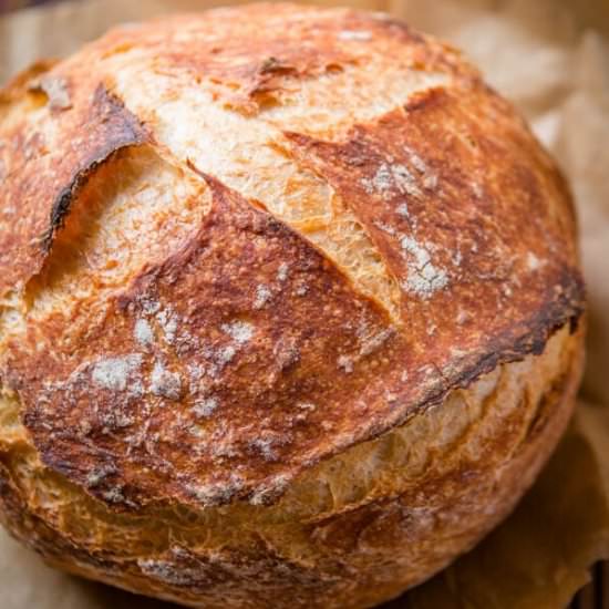EASY NO KNEAD ARTISAN BREAD