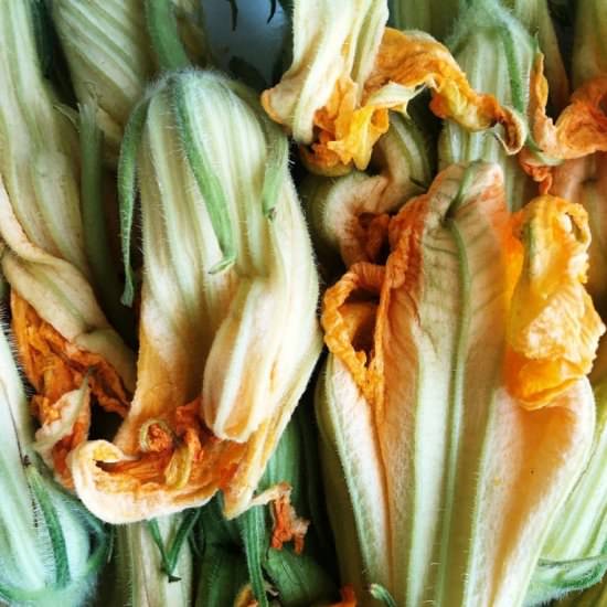 Fried zucchini blossoms