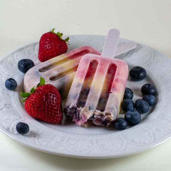 Coconut Yogurt Fruit Popsicles