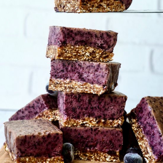No Bake Blueberry Coconut Bliss Bar