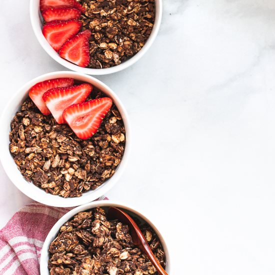 Chocolate Peanut Butter Granola