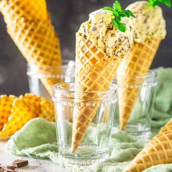 Fresh Mint-Chocolate Chip Ice Cream