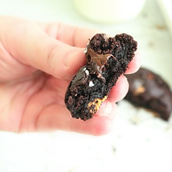 Chocolate PB Pretzel Cookies