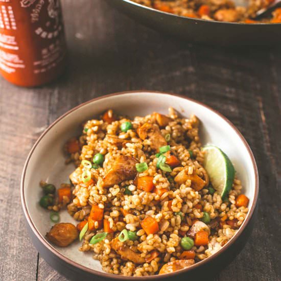 Honey-Garlic Chicken Fried Rice