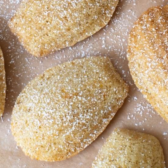 Orange Cardamom Madeleines