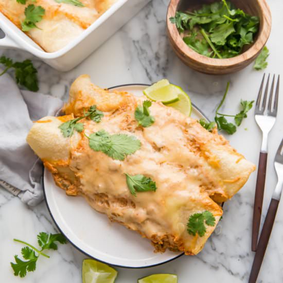 Creamy Chicken Enchiladas