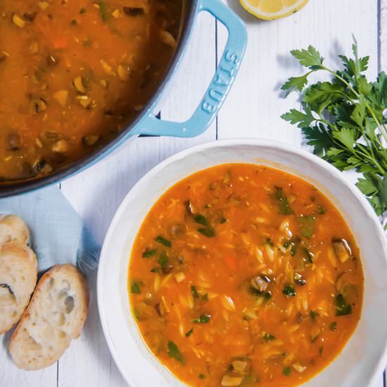 Vegetable Orzo Soup