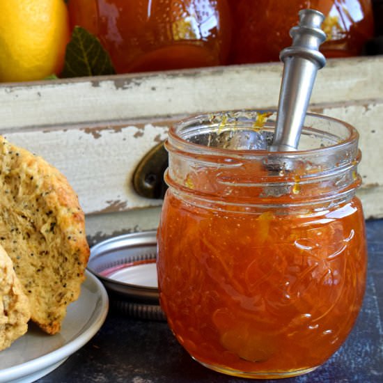 Orange Marmalade Preserves