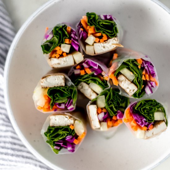 Fresh Vegan Spring Roll