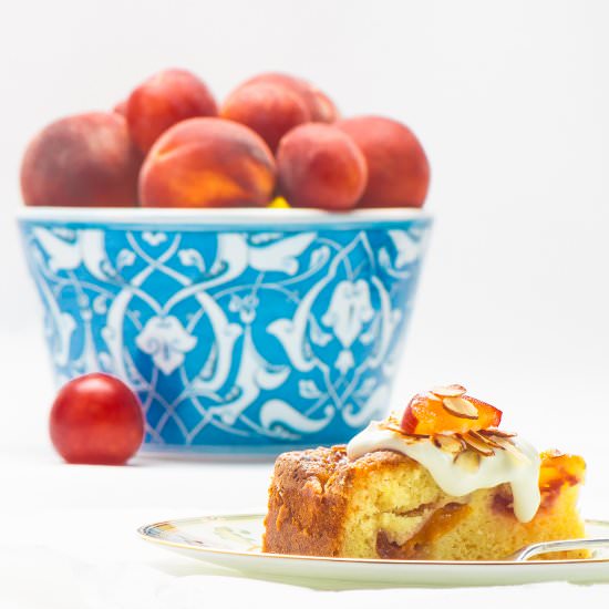 Almond-Apricot Cake