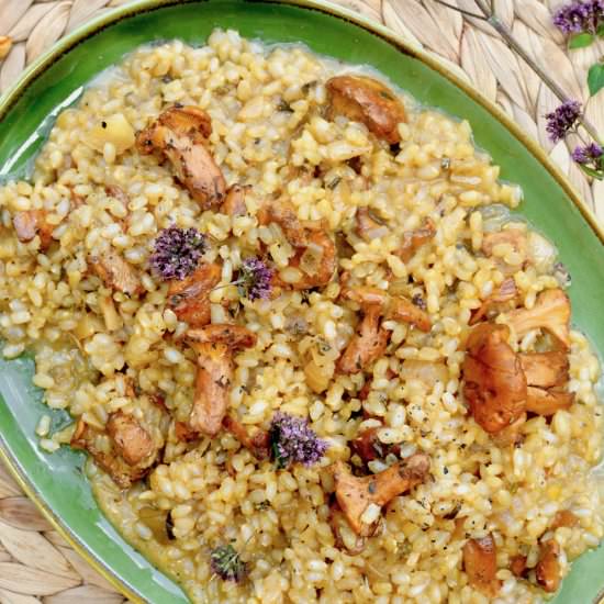 Chanterelle Mushroom Risotto