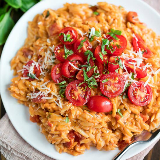 Creamy Tomato Orzo