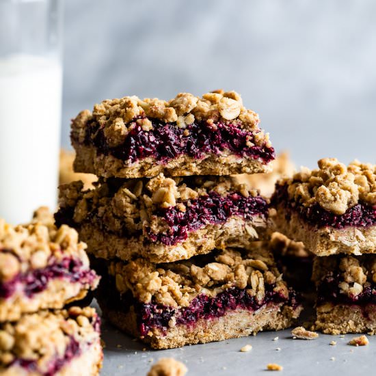 Oatmeal Jam Bars