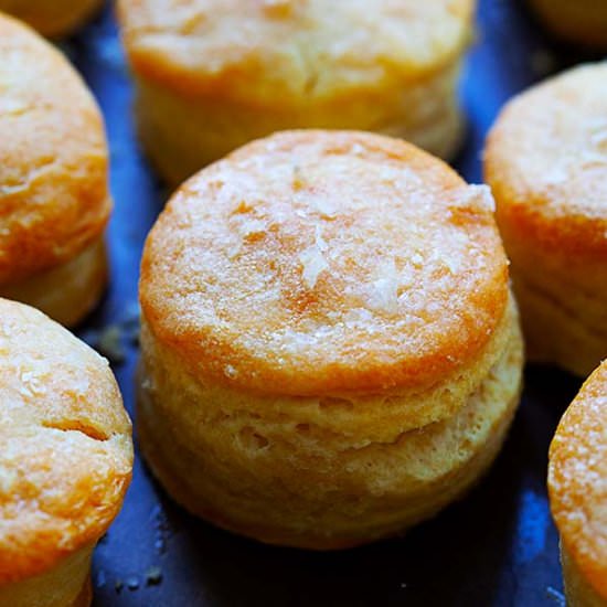 Homemade Biscuits