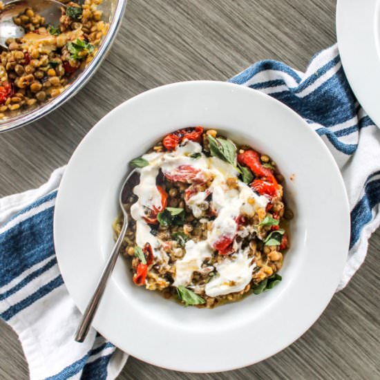 roasted eggplant with lentils