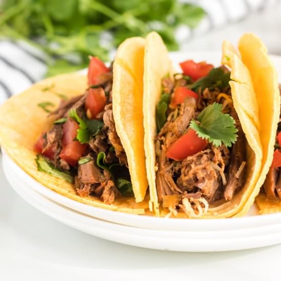 Steak Carnitas Meat