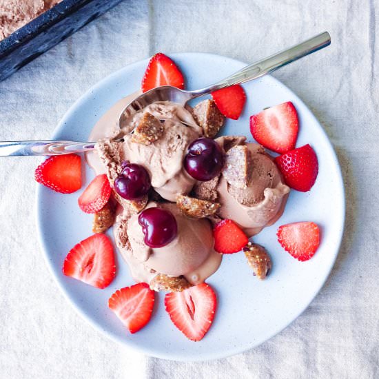 Vegan Chocolate Ice Cream