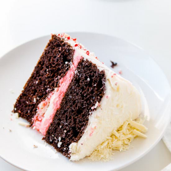 SIMPLE CHOCOLATE PEPPERMINT CAKE