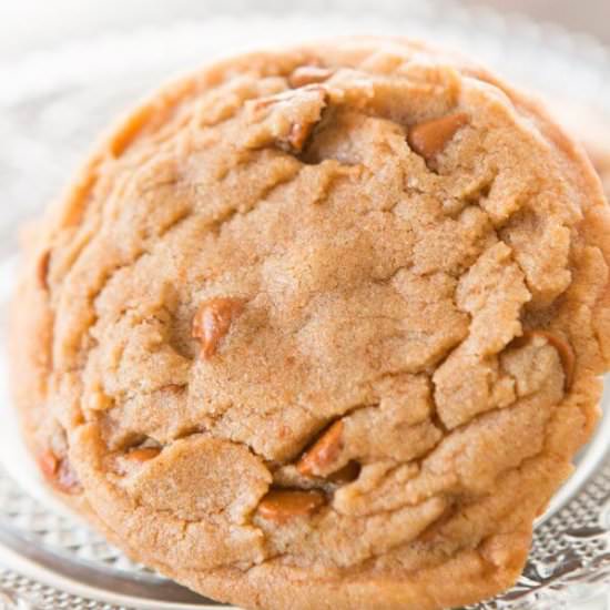 CINNAMON CHIP PUMPKIN SPICE COOKIES