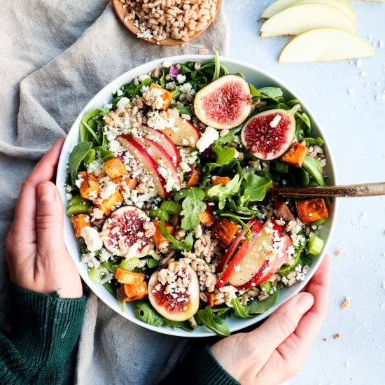 transitional harvest bounty salad