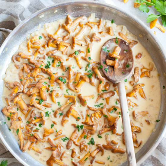 Chanterelle sauce