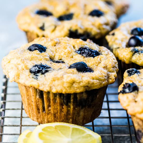 Paleo Blueberry Muffins