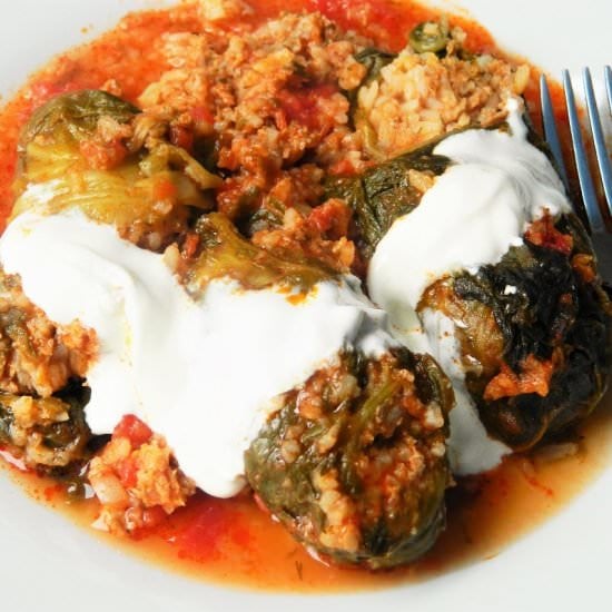 Best Stuffed Cabbage Rolls Recipe