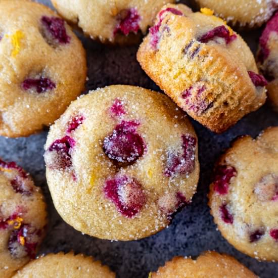 Orange Cranberry Muffins