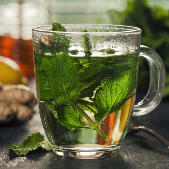 Easy Fresh Mint Tea (Hot or Iced)