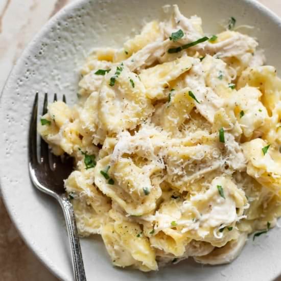 chicken tortellini alfredo