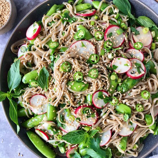 Vegan Soba Noodle Salad