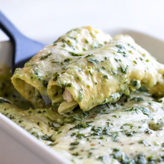 Poblano Chicken Enchiladas