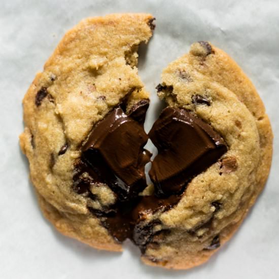 Chocolate Chip Cookie