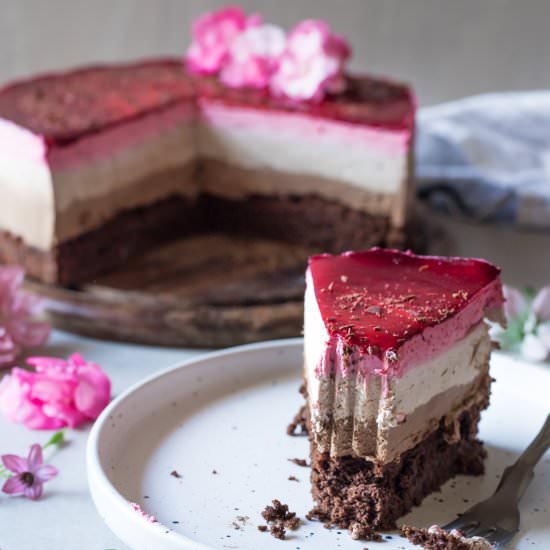 Chocolate and Raspberry Mousse Cake