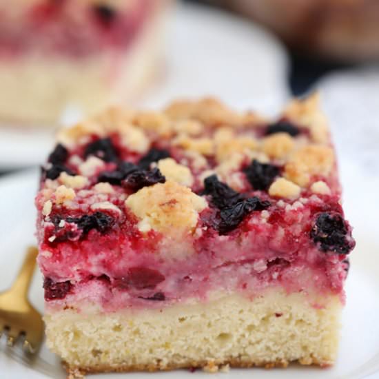 Cranberry Coffee Cake
