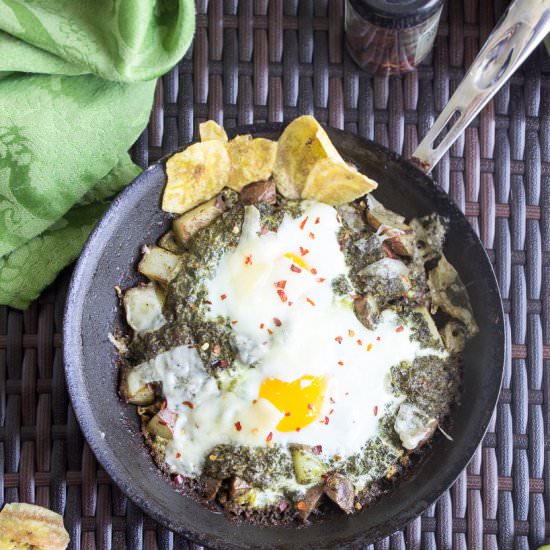 Baked Eggs with Chimichurri