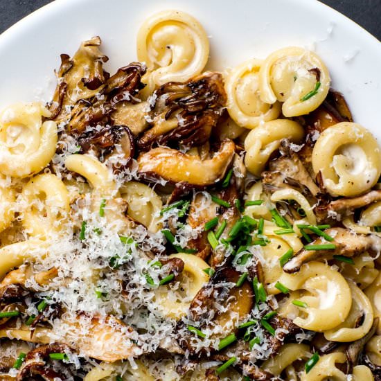 Creamy Mushroom Pasta