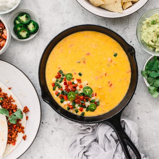 Instant Pot Queso Dip