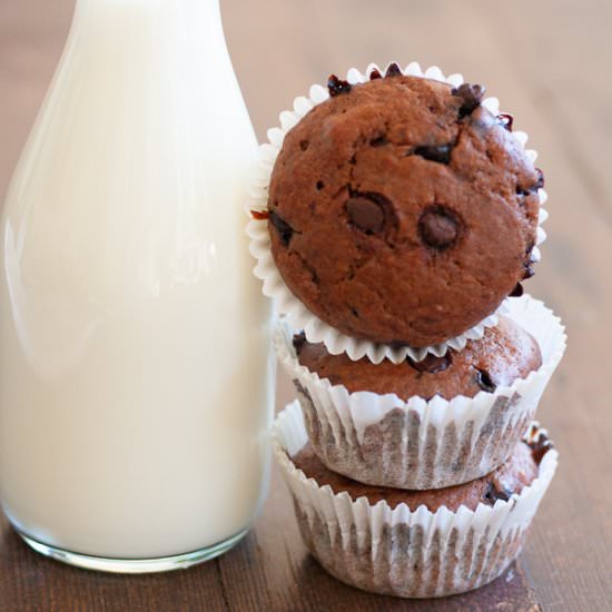 Easy chocolate chip muffins