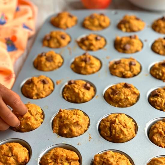 Butternut Squash and Apple Muffins