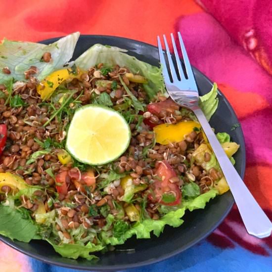 Sprouted Horse gram (Kulith) Salad