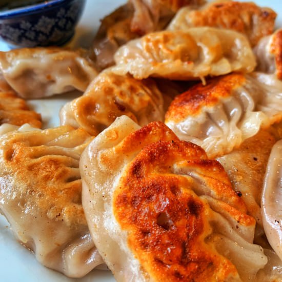 Beef Dumplings