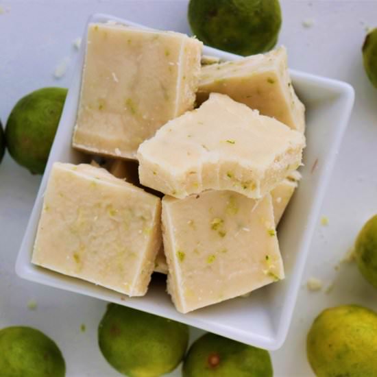 Vegan Coconut Key Lime Fudge