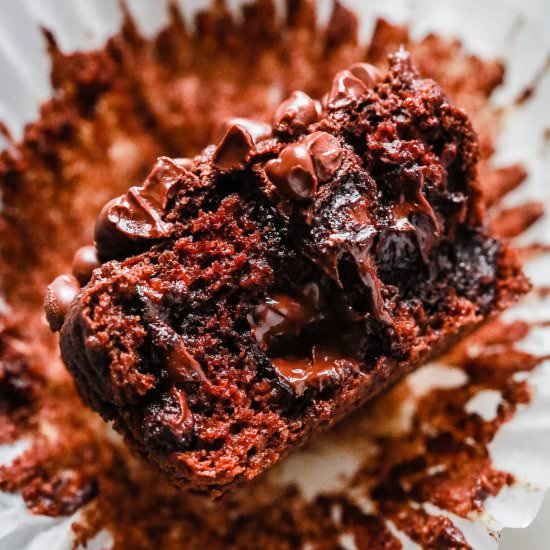 Low Carb Chocolate Muffins