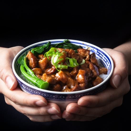 Instant Pot Taiwanese Braised Pork