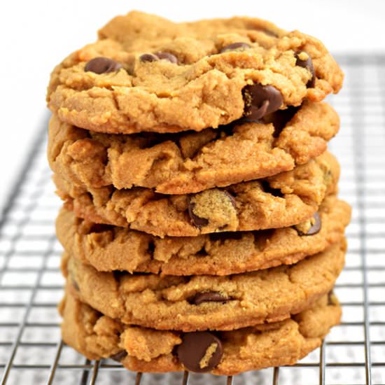 Peanut Butter Chocolate Chip Cookie