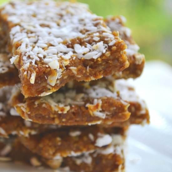 Pumpkin Coconut Energy Bars